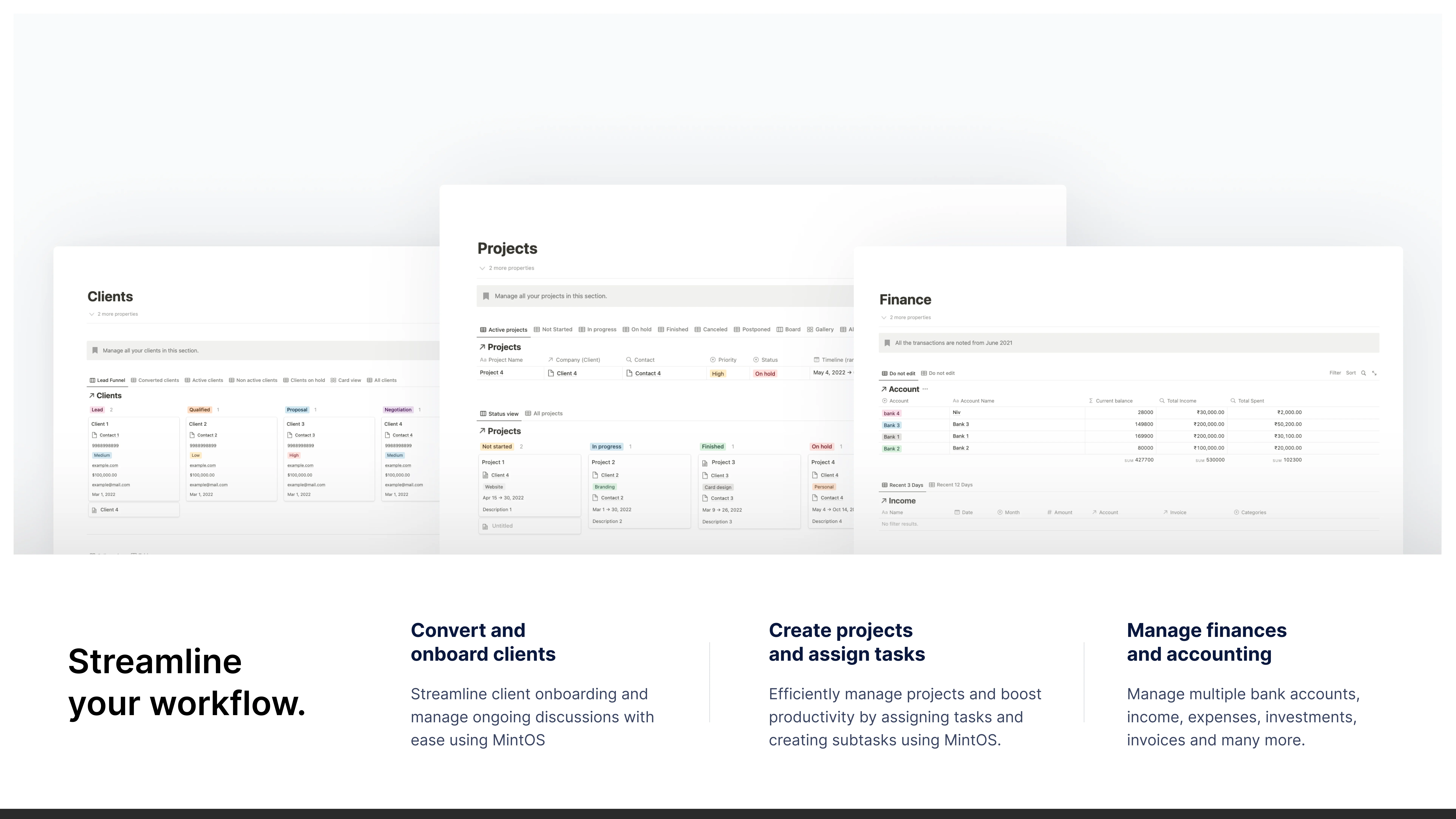 Mint OS: Project Management Notion Template